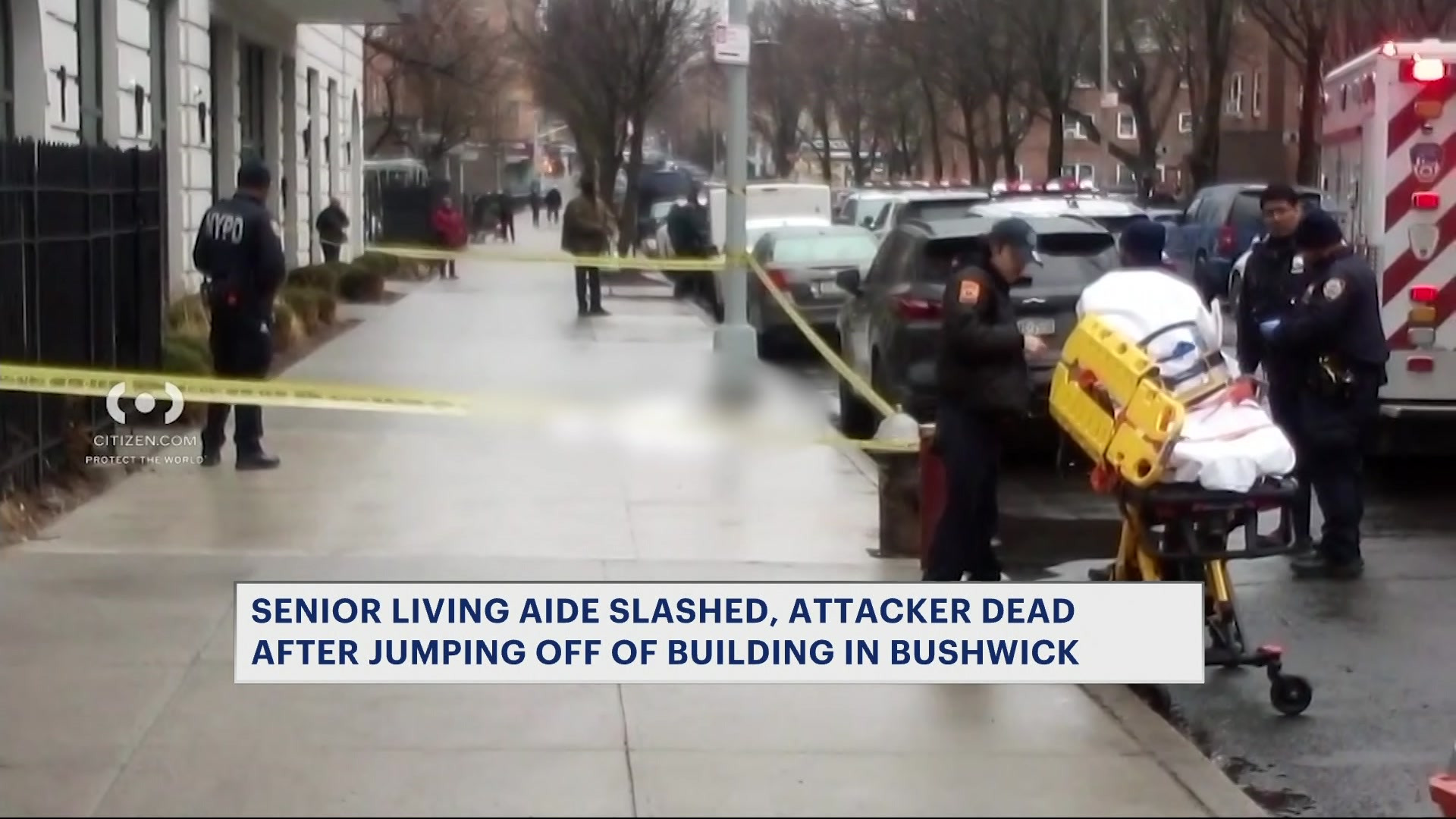 Sources: Aide slashed inside Bushwick senior living building; attacker jumps from roof to his death - News12 | Long Island