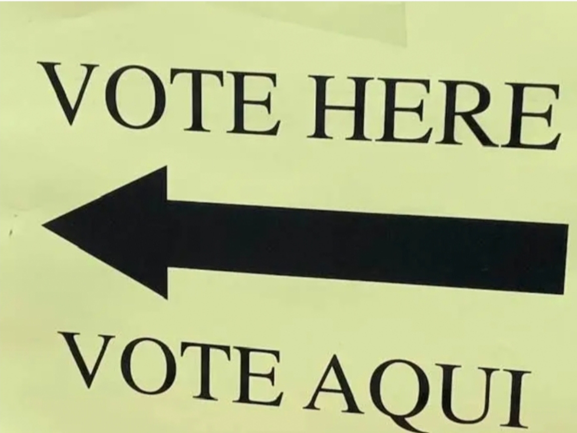 Early Voting Begins Saturday For Democratic Primary Races: What To Know - Patch