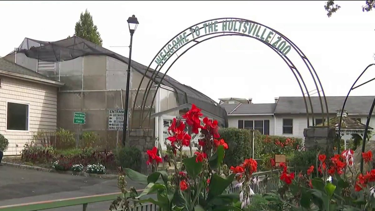 Long Island zoo closing after nearly 50 years, citing $2 million budget concerns - NBC New York