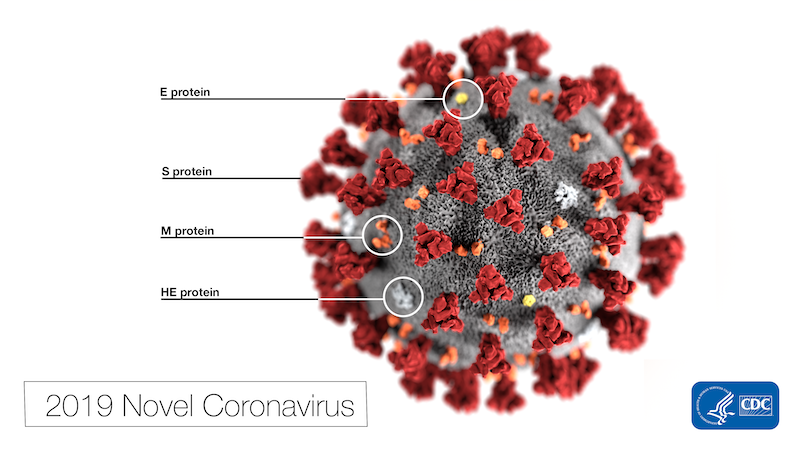 Coronavirus on the East End: Suffolk’s first case is a man in his early 40s, hospitalized in Southampton after transfer from Greenport - RiverheadLOCAL