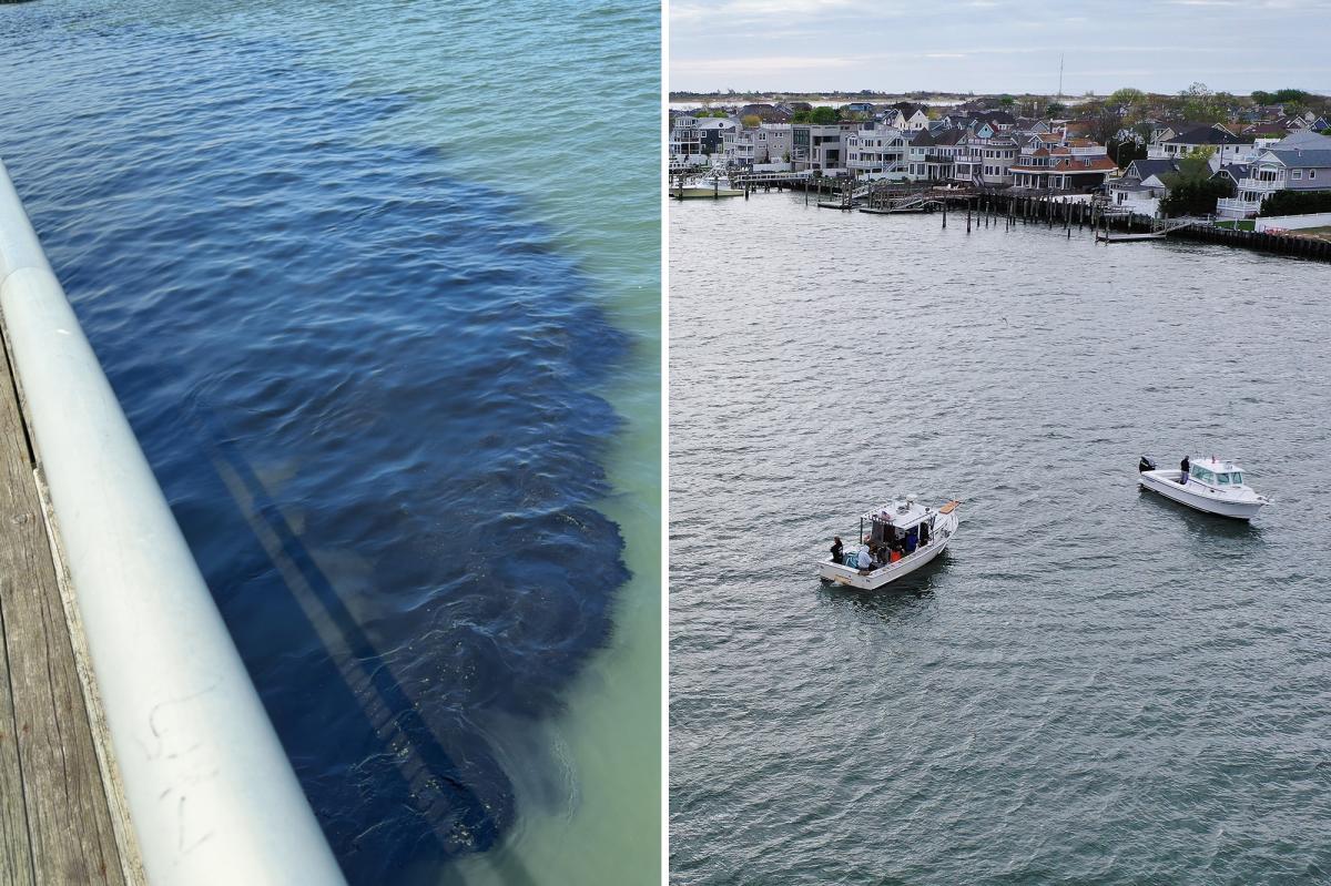 30K gallons of nasty sewage waste accidentally unloaded in Long Island waterway - New York Post