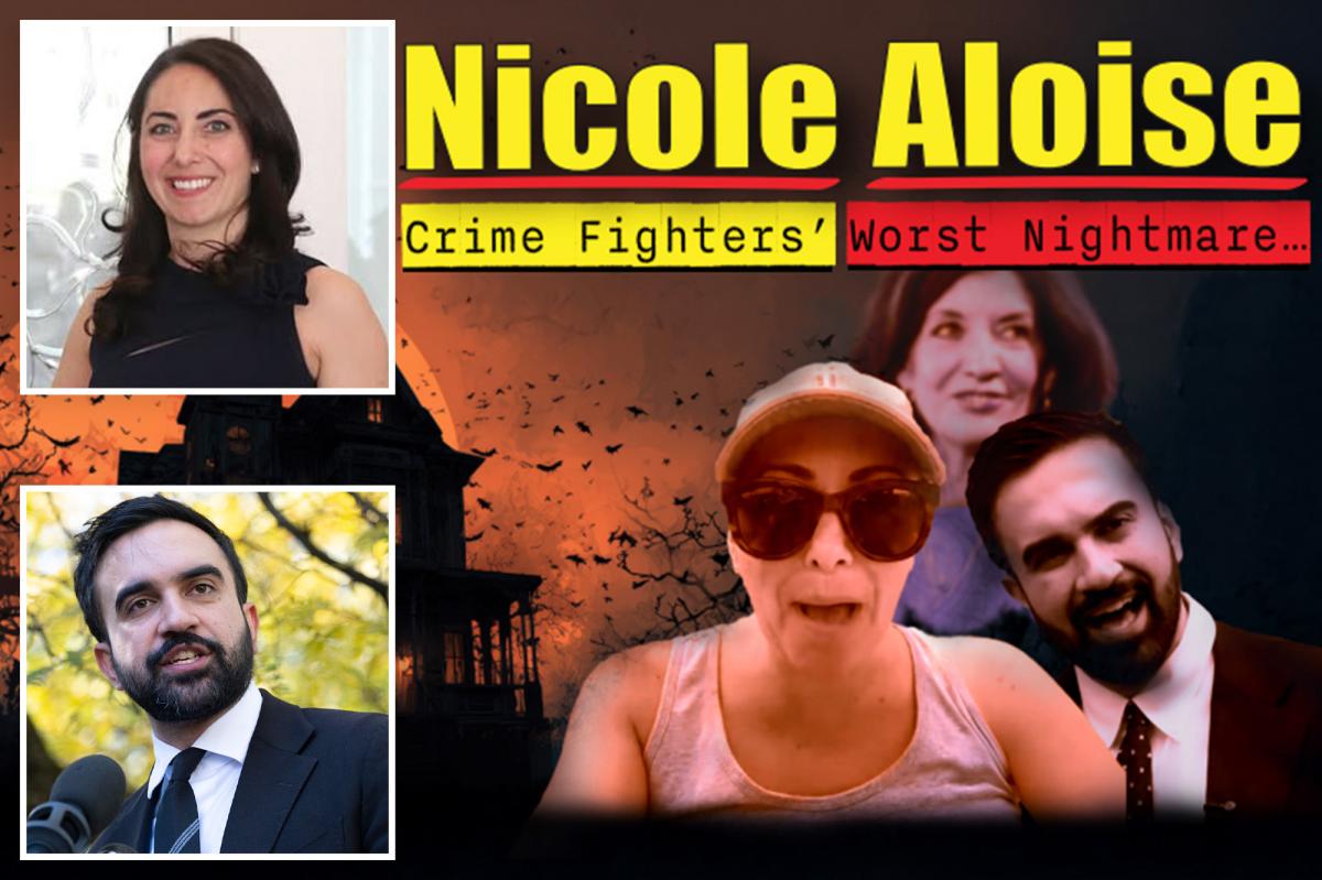 Exclusive | Long Island Dem candidate threatens to sue GOP for linking her to Mamdani - New York Post