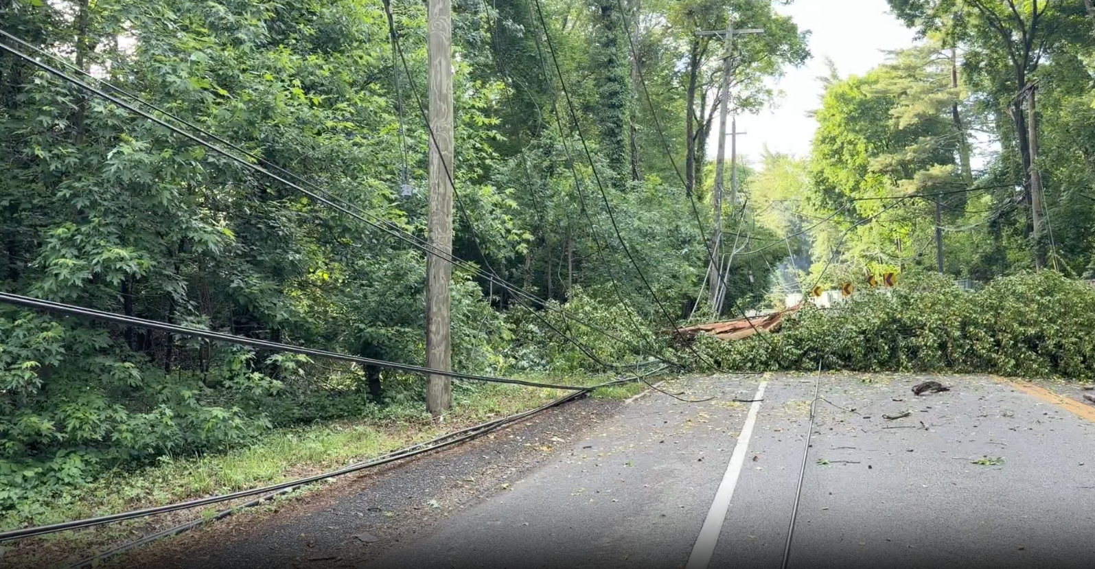 Tree Falls On Car Takes Down Power Lines In Old Brookville - News12 | Long Island