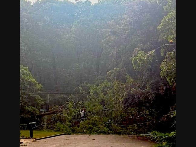 Fierce Storm Fells Trees, Leaves 3.3K+ Without Power Across Long Island - Patch