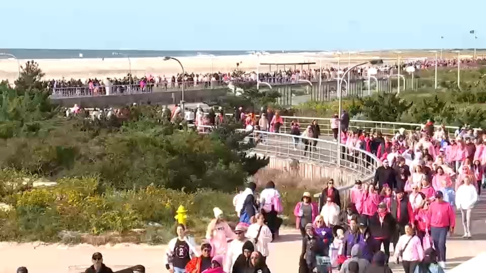 Crowds gather for annual Making Strides Against Breast Cancer walks in Central Park and Jones Beach, NY - ABC7 New York