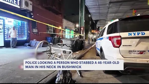 Sources: Man stabbed inside Bushwick deli was former employee - News 12