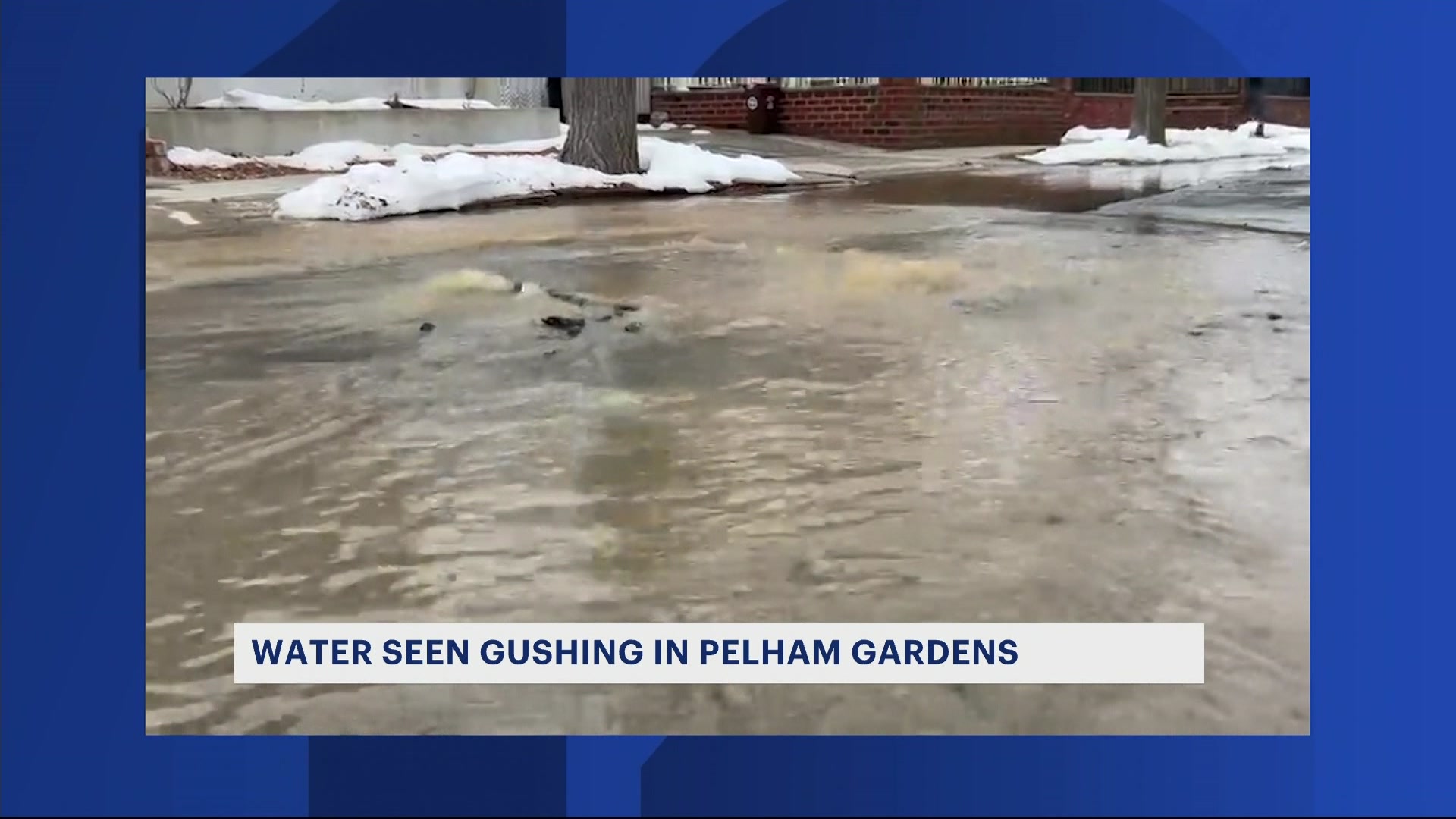 Dep Investigates Source Of Water Condition That Left Streets Flooded In Pelham Gardens - News12 | Long Island